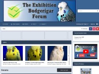 http://exhibitionbudgerigarforum.co.uk