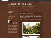 http://moysiesbirdtrips.blogspot.co.uk/