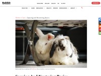 http://rabbit.org/faq-spaying-and-neutering/