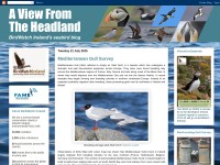 http://seabirdwatchireland.blogspot.com/