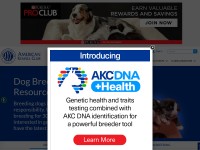 http://www.akc.org/learn/akc-gazette/breeders-forum/