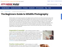http://www.cctvcameraworld.com/beginners-guide-to-wildlife-photography.html