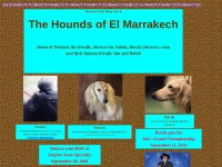 http://www.houndsofmarrakech.com/