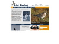 http://www.irishbirding.com/birds/web