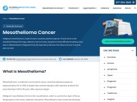 http://www.pleuralmesothelioma.com/cancer