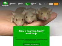http://www.woodgreen.org.uk/pet_advice/filter/mice