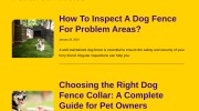 Thumbnail for Dog Training